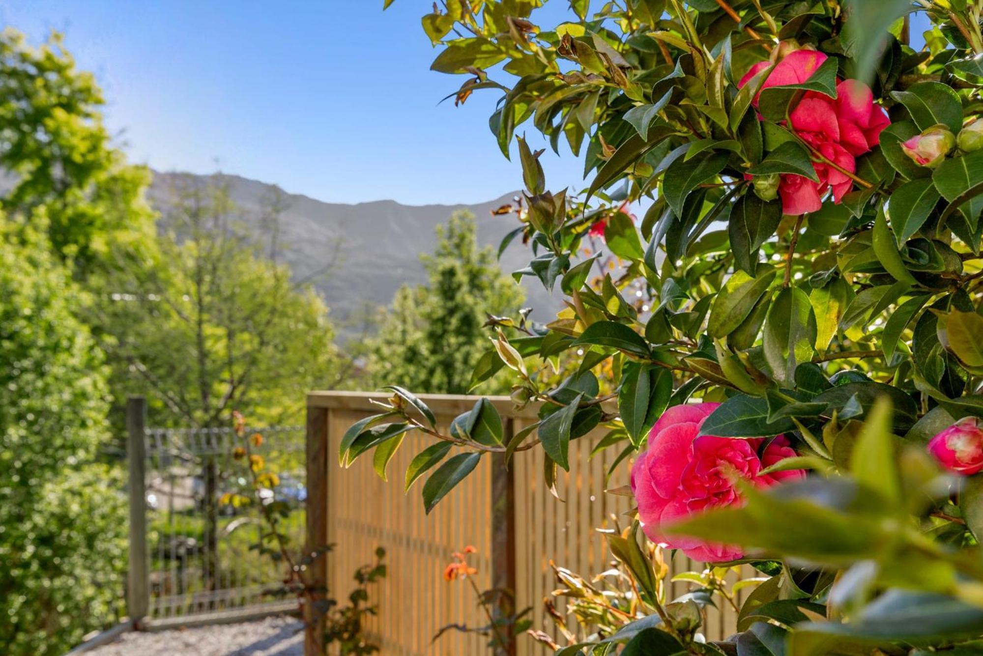 ASURE Brookvale Motel Wanaka Esterno foto